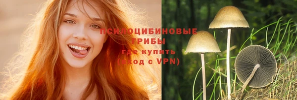 прущие грибы Мегион