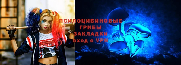 прущие грибы Мегион