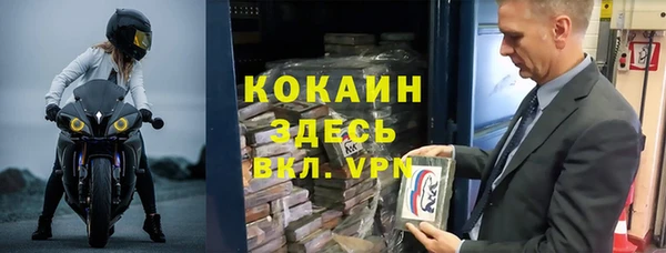 стаф Медногорск