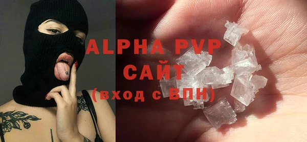 стаф Медногорск