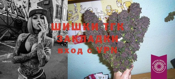 стаф Медногорск
