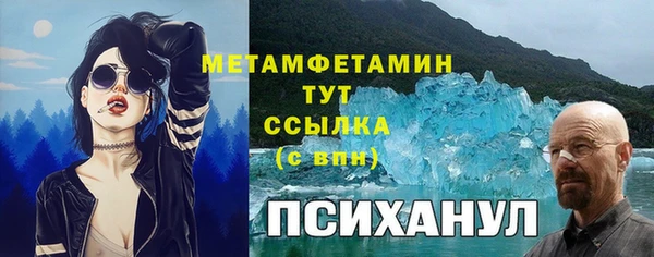 стаф Медногорск