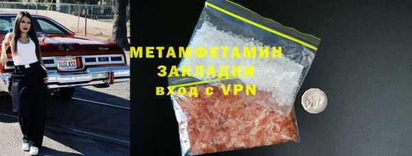прущие грибы Мегион