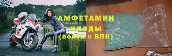 прущие грибы Мегион