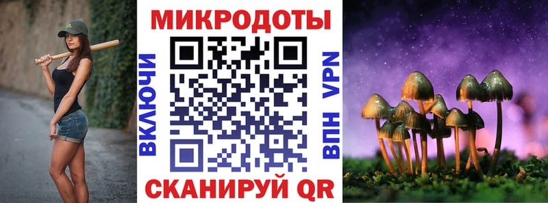 закладка  Нижневартовск  Псилоцибиновые грибы Cubensis 