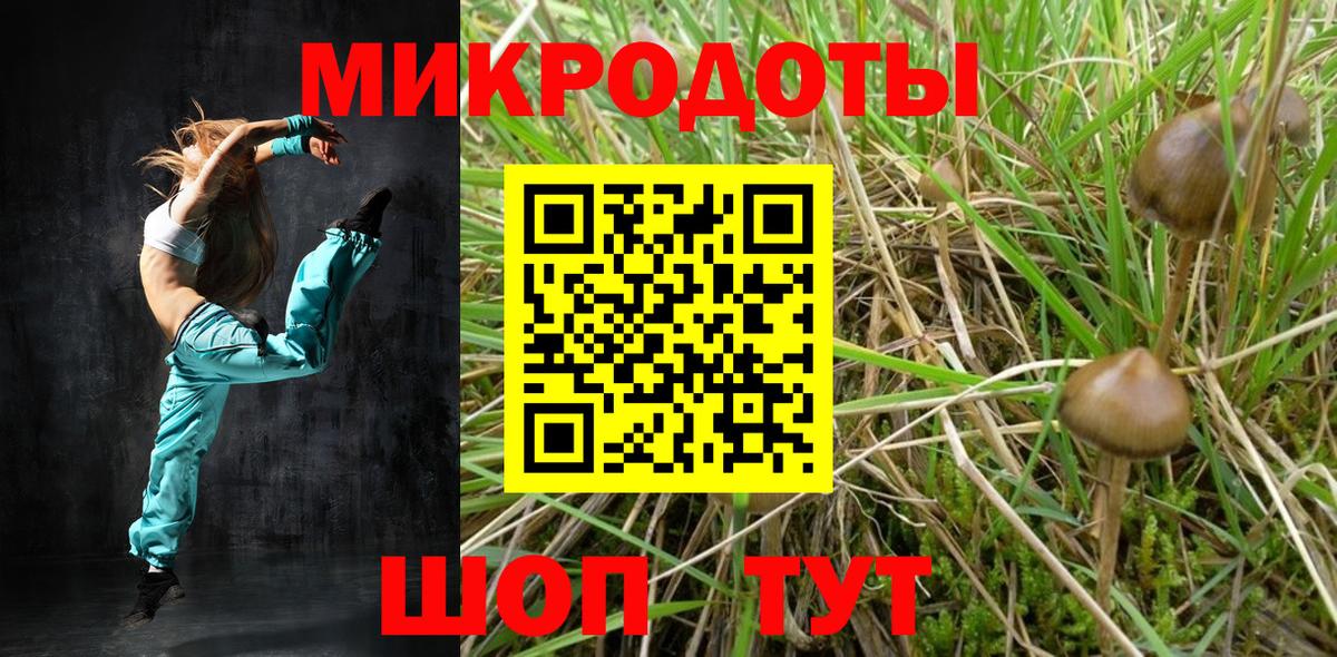 Нижневартовск  Псилоцибиновые грибы Psilocybine cubensis  где найти   Вход с VPN 
